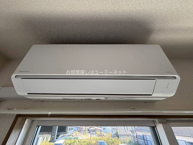 ＬＩＶＥ Ⅱ その他