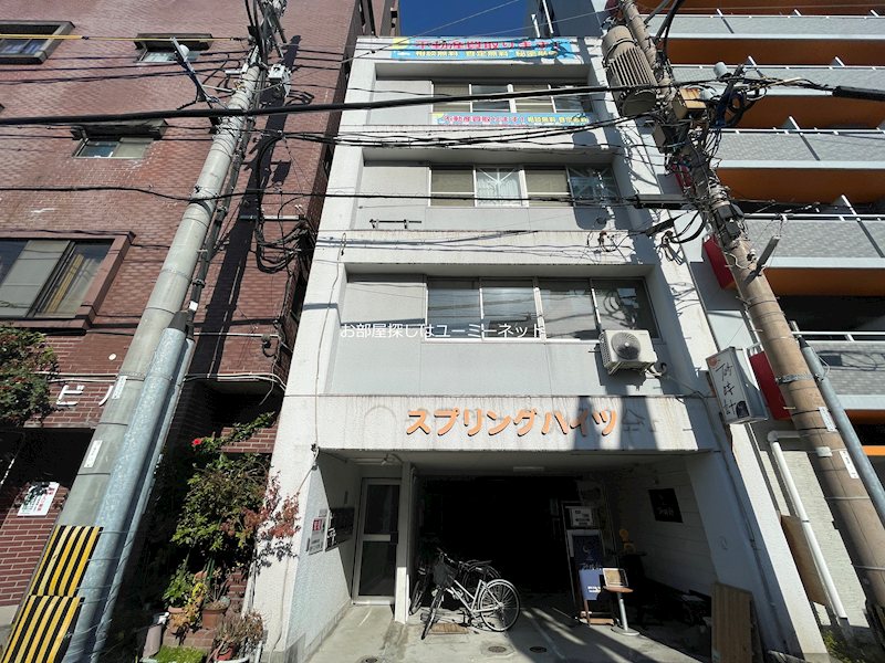 スプリングハイツ中洲 外観