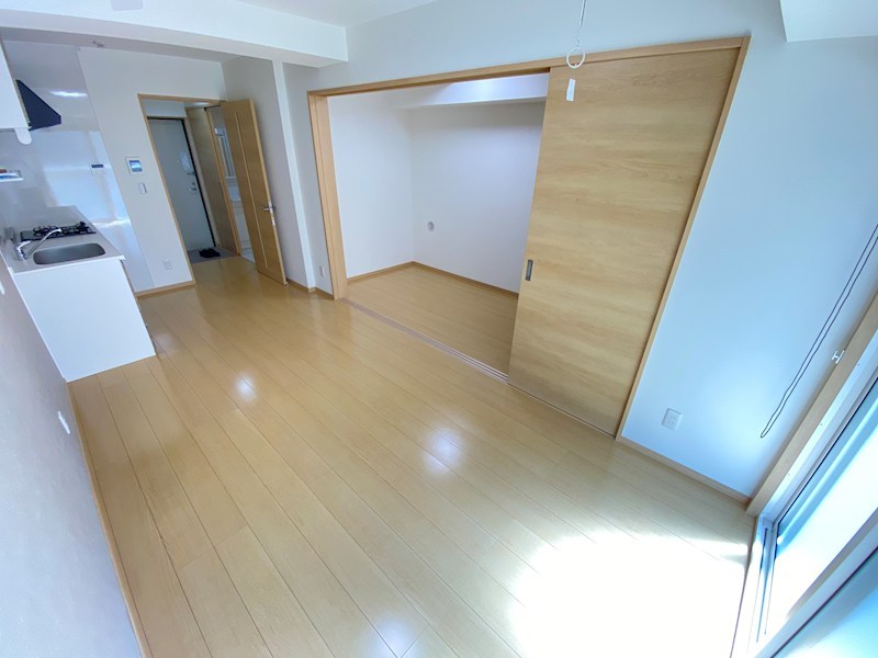 IRMSⅢ その他