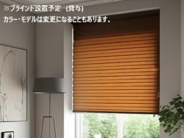 IRMSⅢ その他