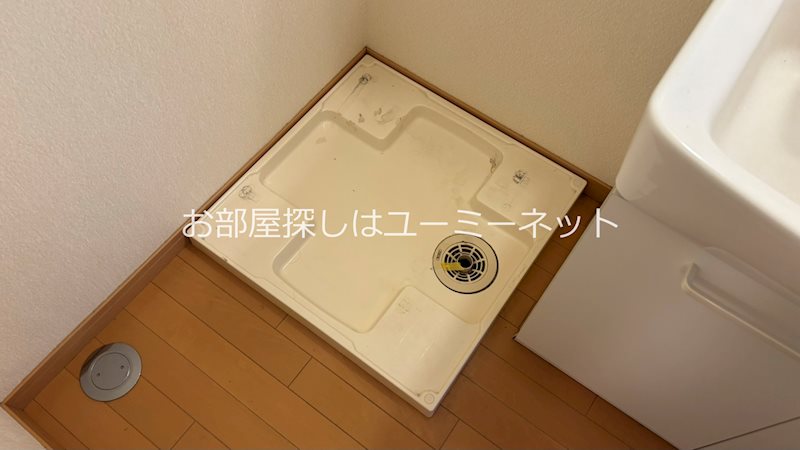 プレステージ風Y's その他