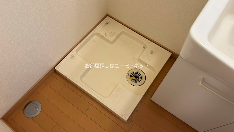 プレステージ風Y's その他