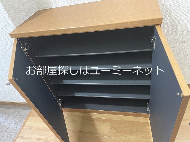 アンフィニ その他