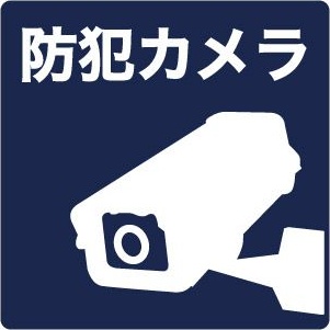 ルミエール薬師寺 レインズ用チラシ画像