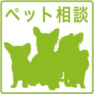エバーグリーン(ペット可) 地図