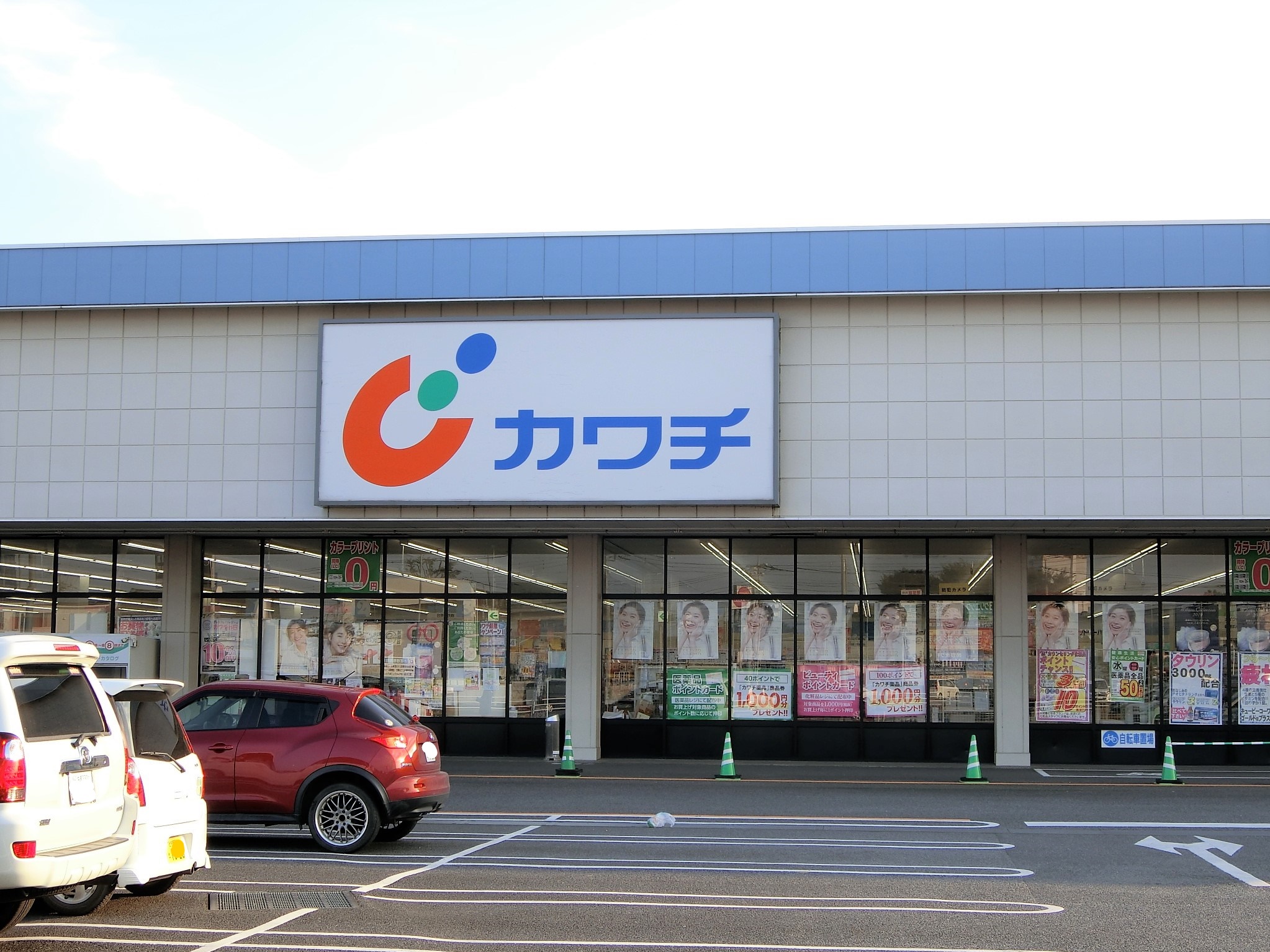 エバーグリーン(ペット可) ドラッグストア