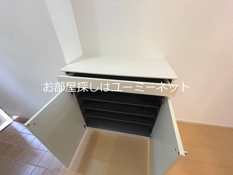 エレガンソーレⅡ その他