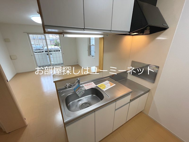 エレガンソーレⅡ その他