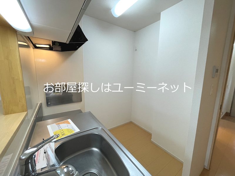 エレガンソーレⅡ その他