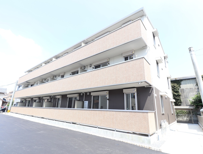 アガパンサス 外観