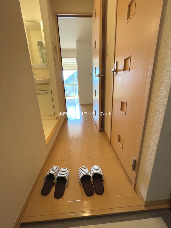 パディー盛 その他