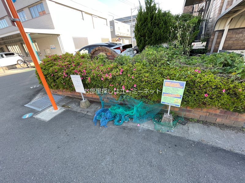 ソレアード その他