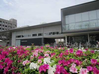 グリフィンドール  大学・短大
