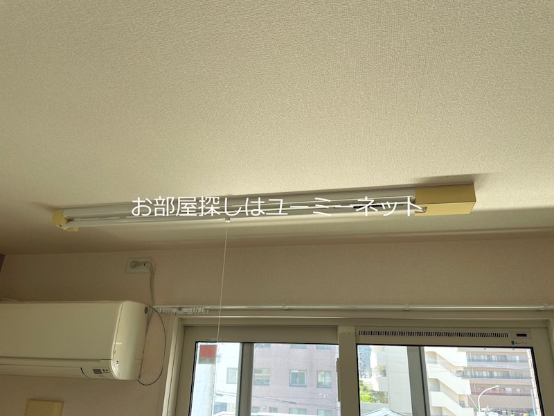 アペルトサピエンティア その他