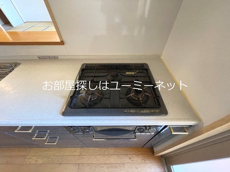 ジェネラス中央町 その他
