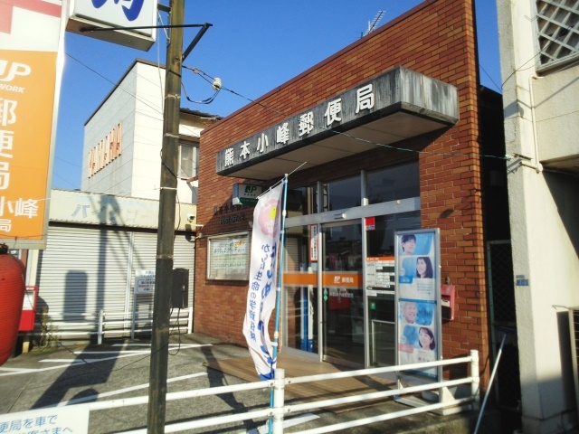 サンフラワーＡ その他