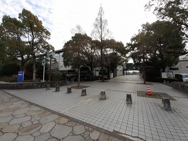 ノイ　プリムラ その他