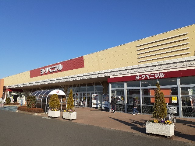 アルタイルⅡ その他