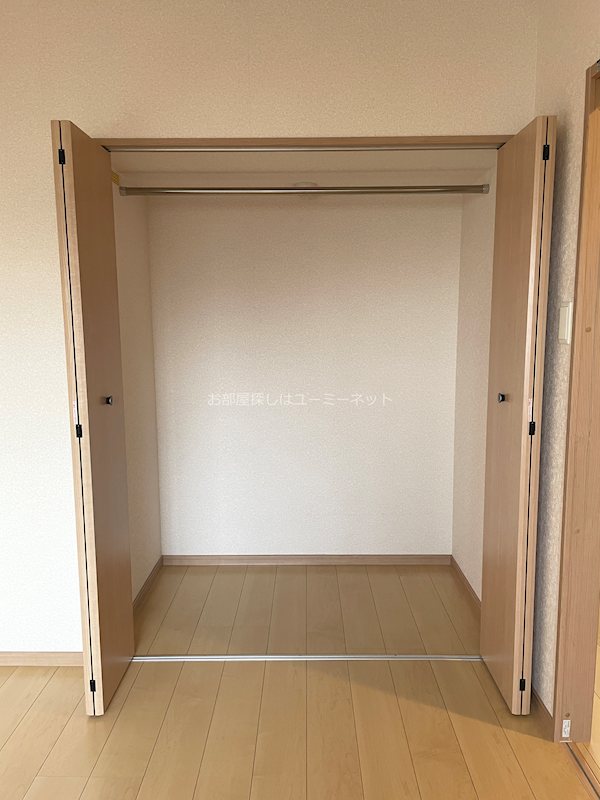 コキンティア その他