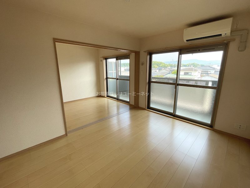コキンティア その他