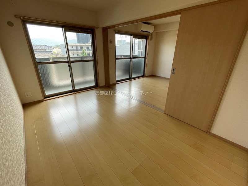 コキンティア その他