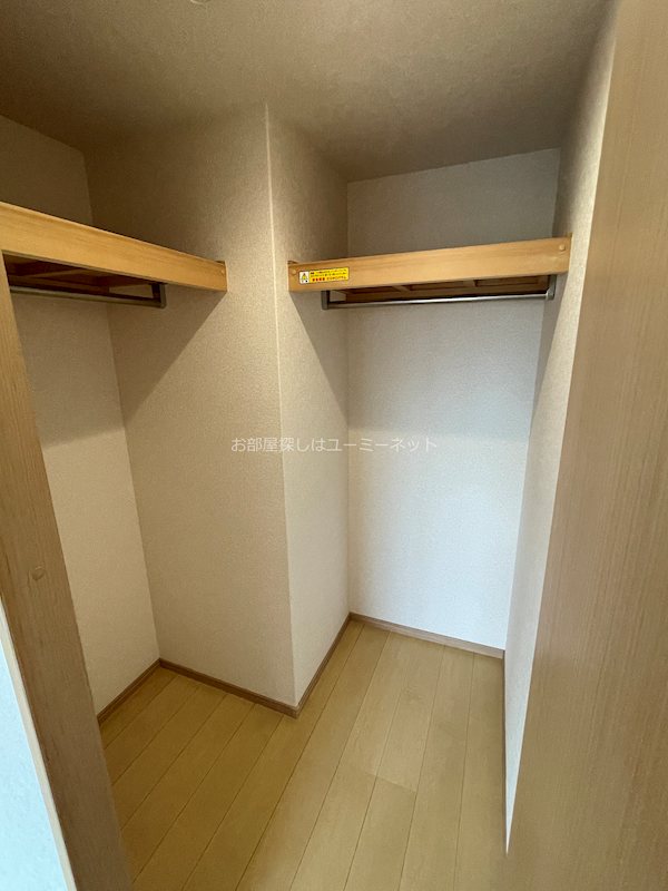 コキンティア その他