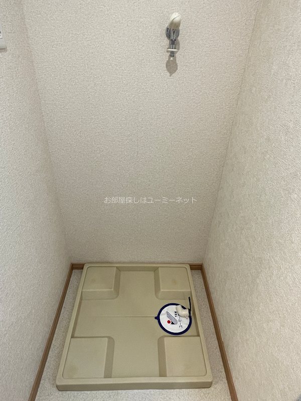 コキンティア その他