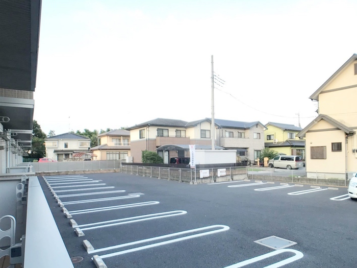 ハナミズキ 眺望