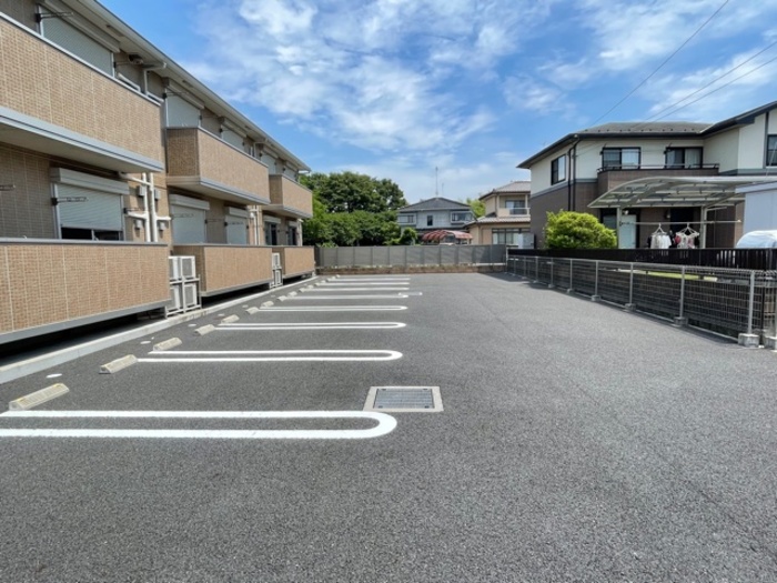 ハナミズキ 駐車場