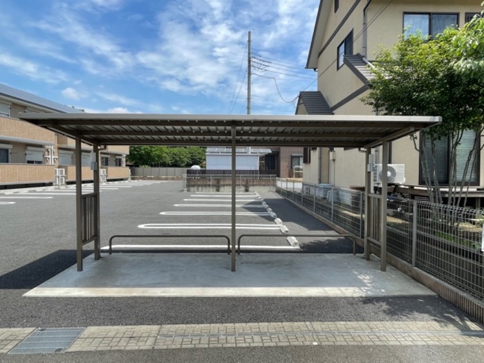 ハナミズキ 駐車場