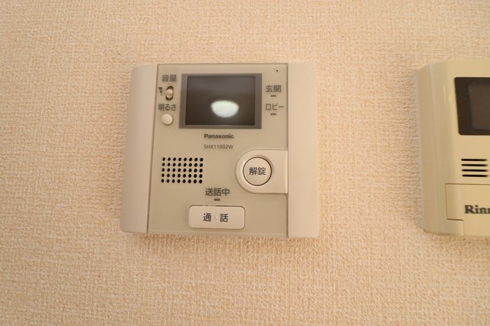 アゲラータム セキュリティ