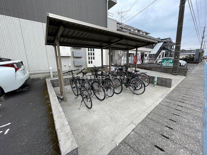 アルベラータⅡ その他