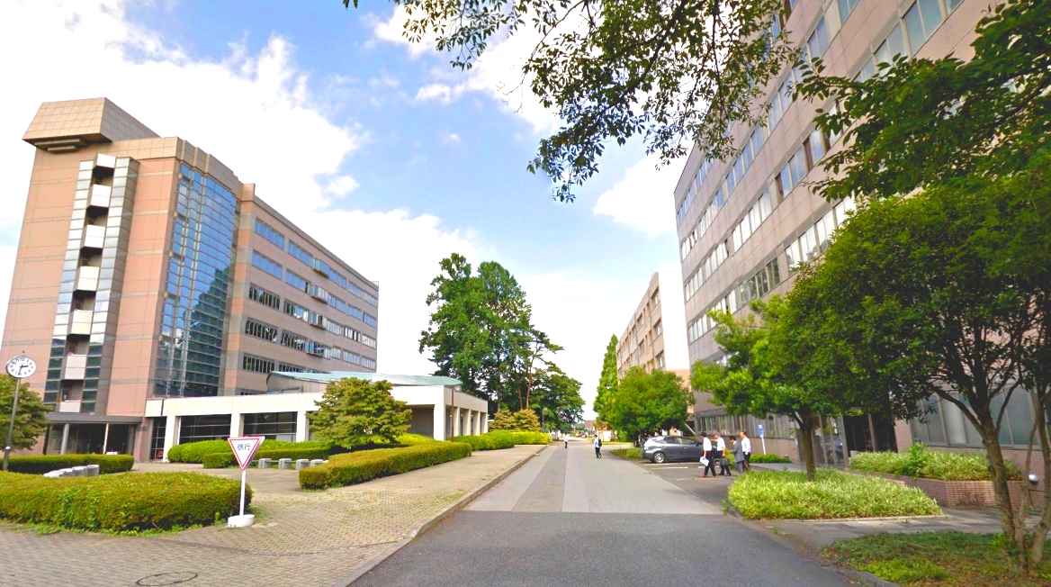 コンチェルト 大学・短大