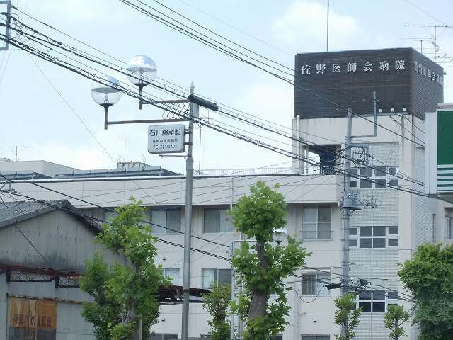 エステラ その他