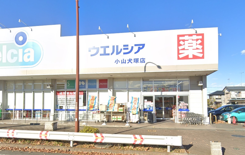 ピュアオール　Ⅲ ドラッグストア