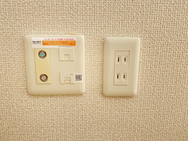 なでしこ その他