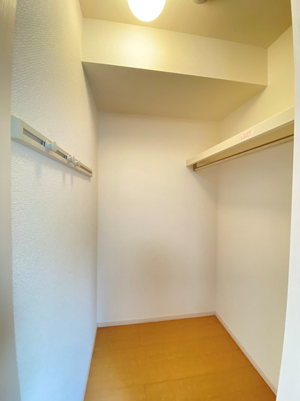 なでしこ その他
