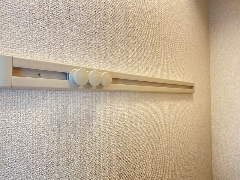 なでしこ その他