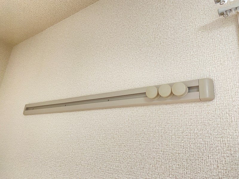 なでしこ その他