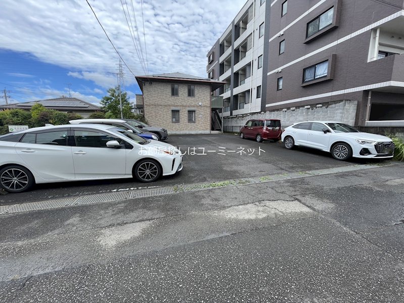 サザンアイランド その他