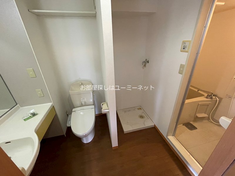 サザンアイランド その他