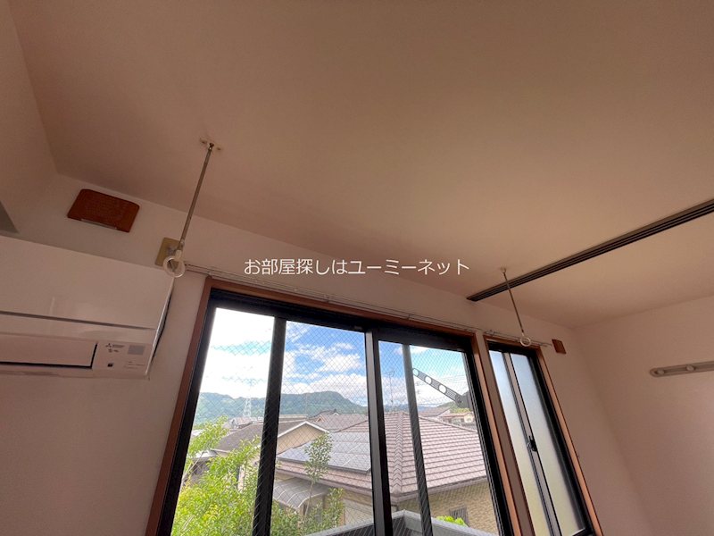 サザンアイランド その他