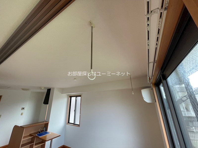 サザンアイランド その他