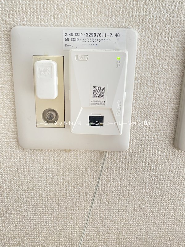 ピーノ・エヴァラスティング その他