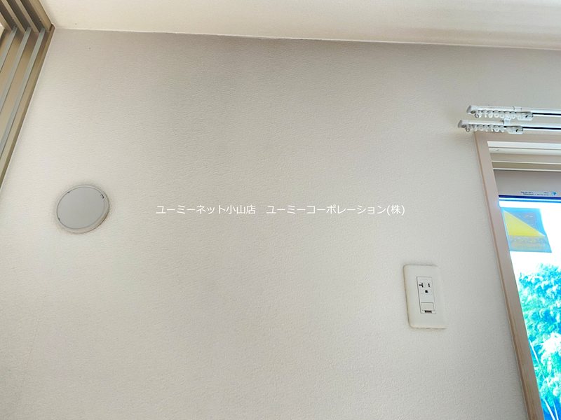 ピーノ・エヴァラスティング その他