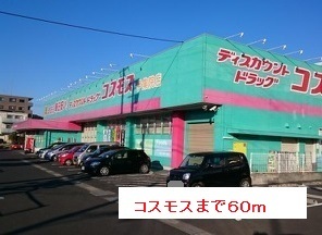 アモーレ その他