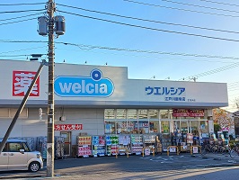 東京都江戸川区西篠崎２丁目 その他