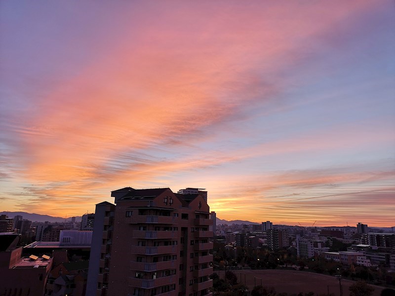 眺望 シーサイドももちアクアコート11番館 その他12