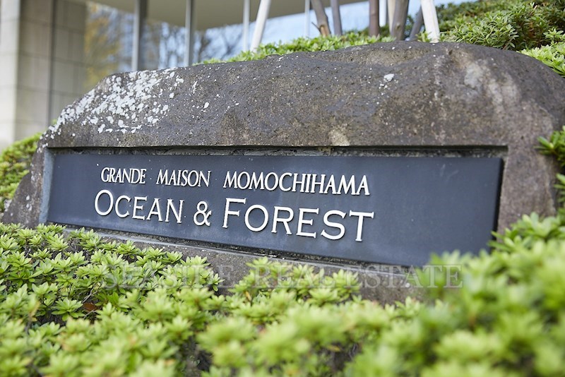グランドメゾン百道浜オーシャン＆フォレスト その他18
