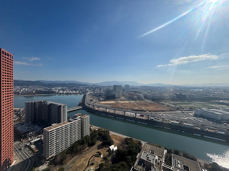 アイランドタワー　スカイクラブ　Ｃ棟 その他12